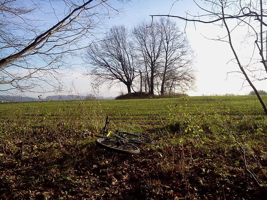 Kolejny Ropik w Rakowcu, też kupa ziemi