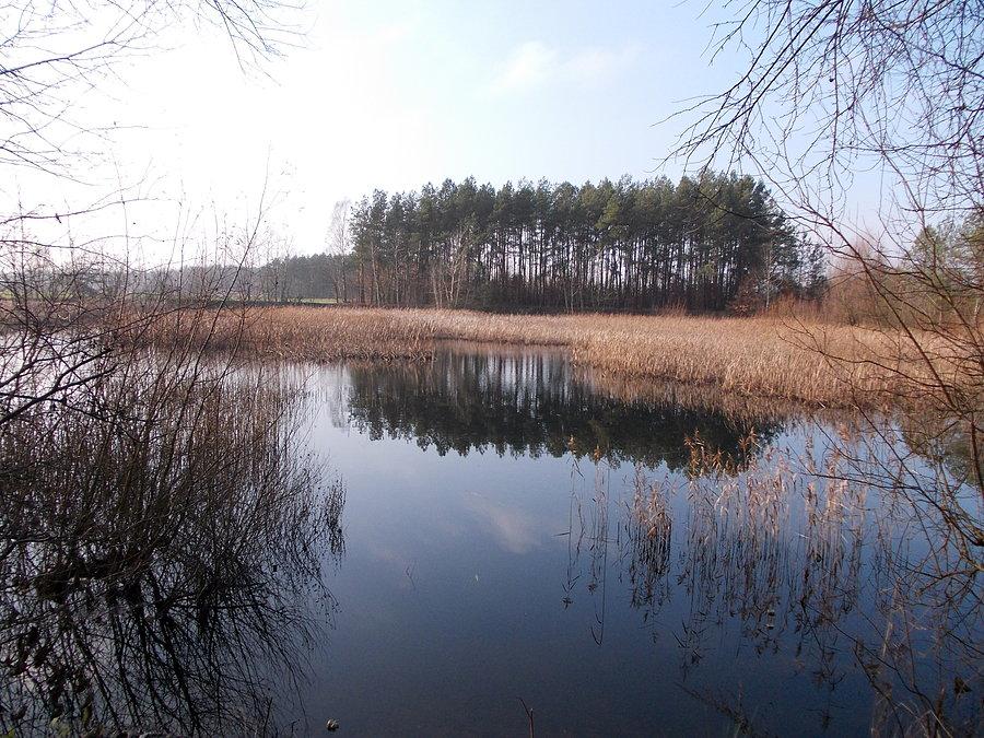 Stawy "Kacze Doły"