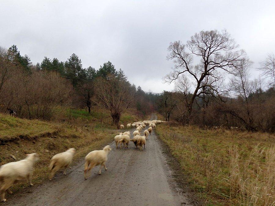 Blokady drogi