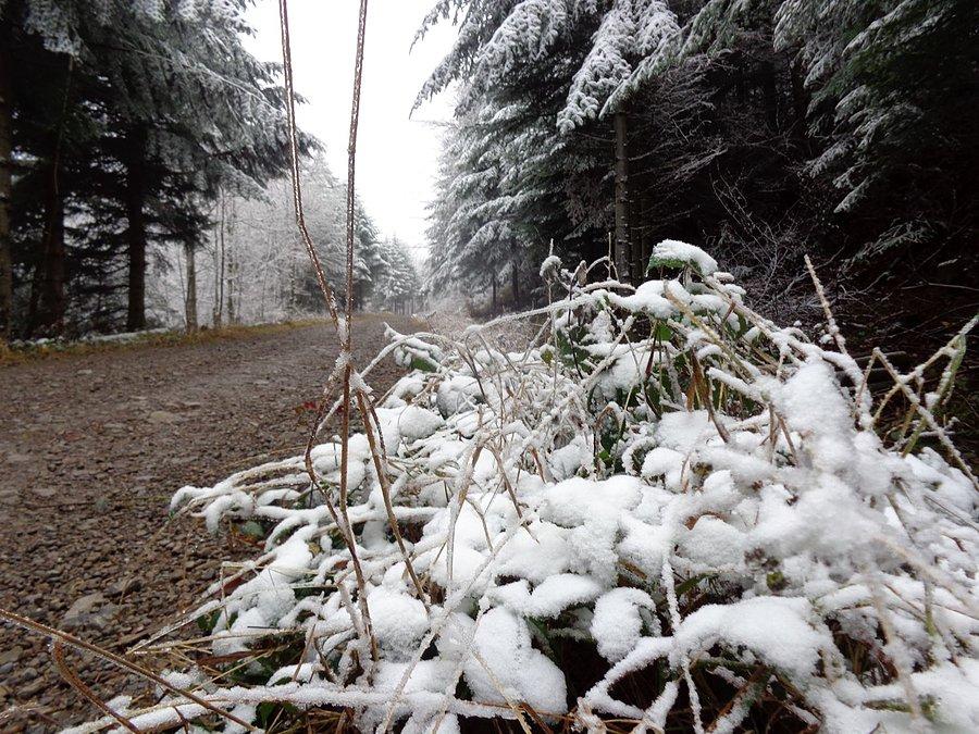 Pierwszy śnieg