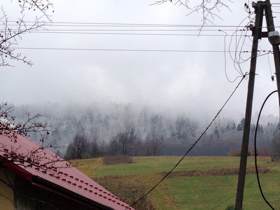 Widok z dołu