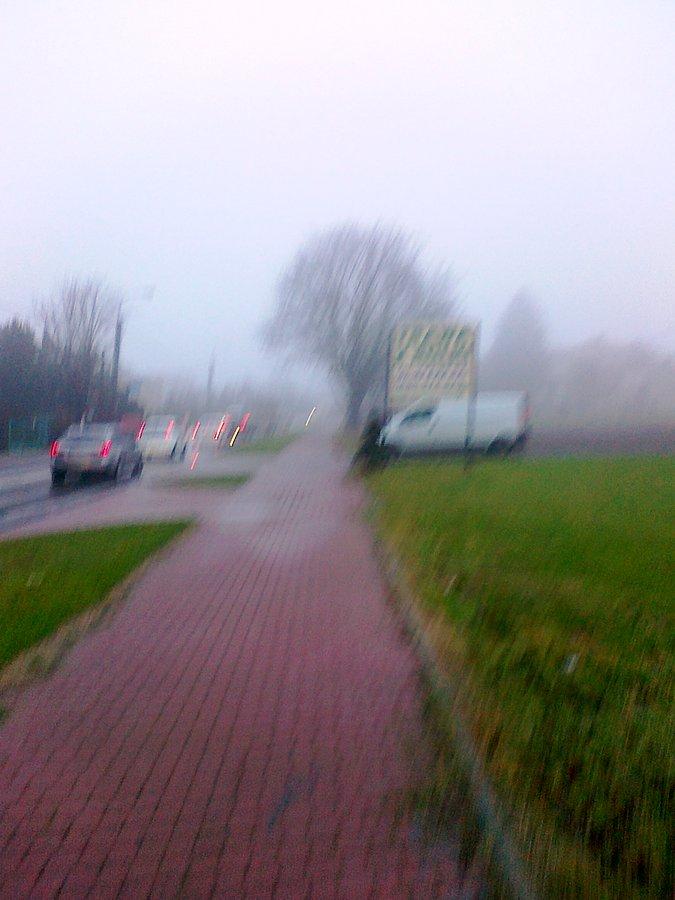 Taki listopadowy obrazek