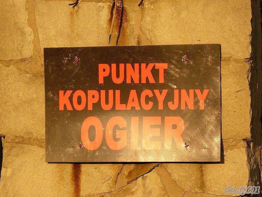 Niestety. Tym razem to nie zabytek ;)
