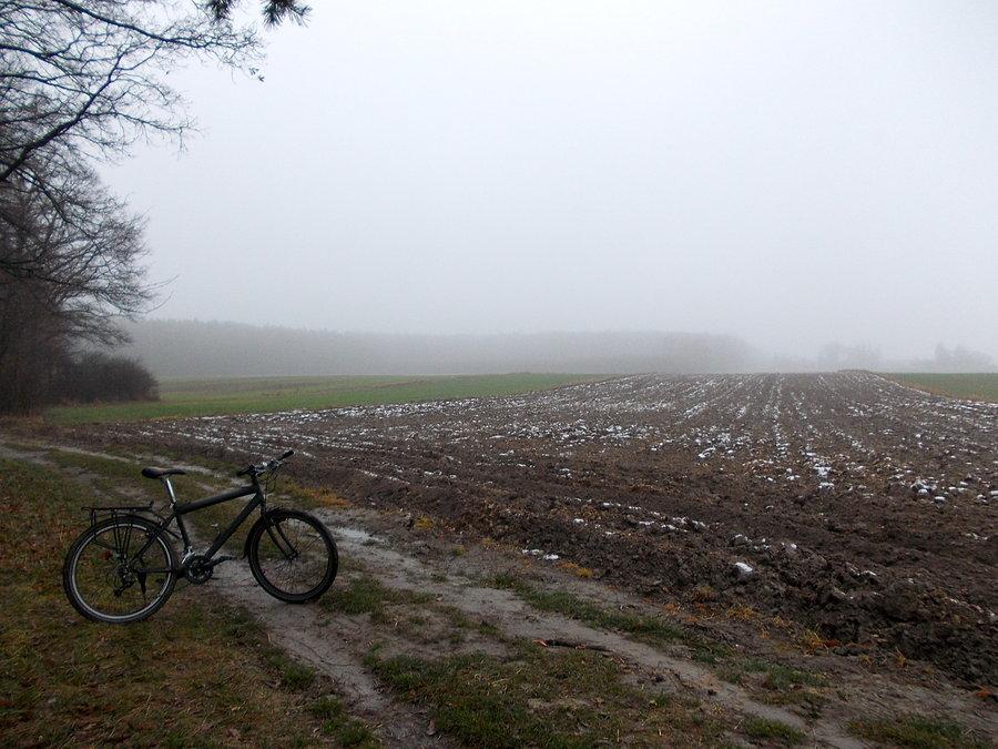 Polną dróżką