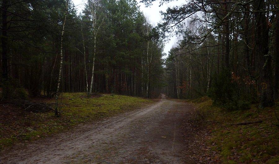 Żółty szlak w KPN