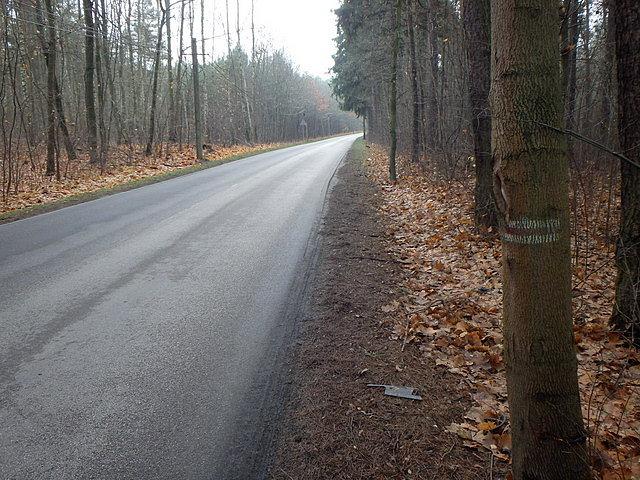 Ponad 3 kilometrowy odcinek szlaku prowadził szosą