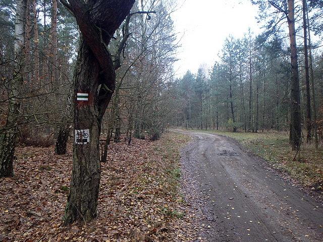 Przez krótki odcinek szliśmy najdłuższym szlakiem rowerowym w woj. kujawsko-pomorskim:)