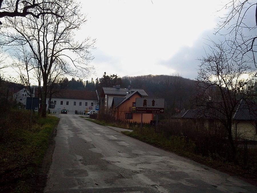 Dzięgielów zamek