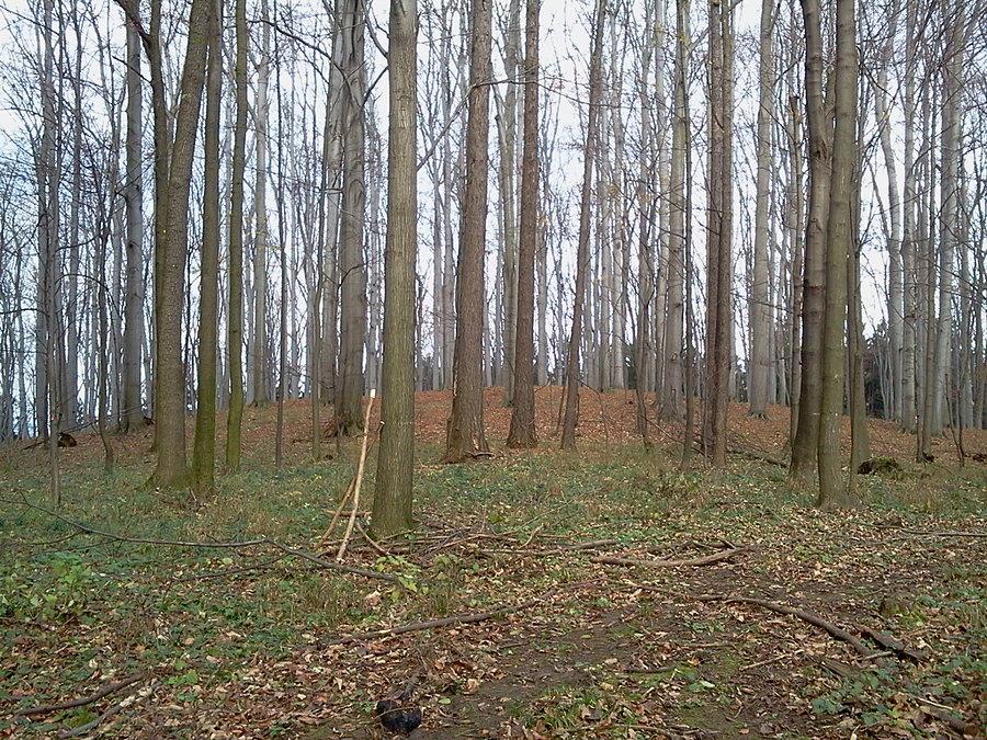 Wzgórze gdzie stał pierwszy drewniany dzięgielowski zamek