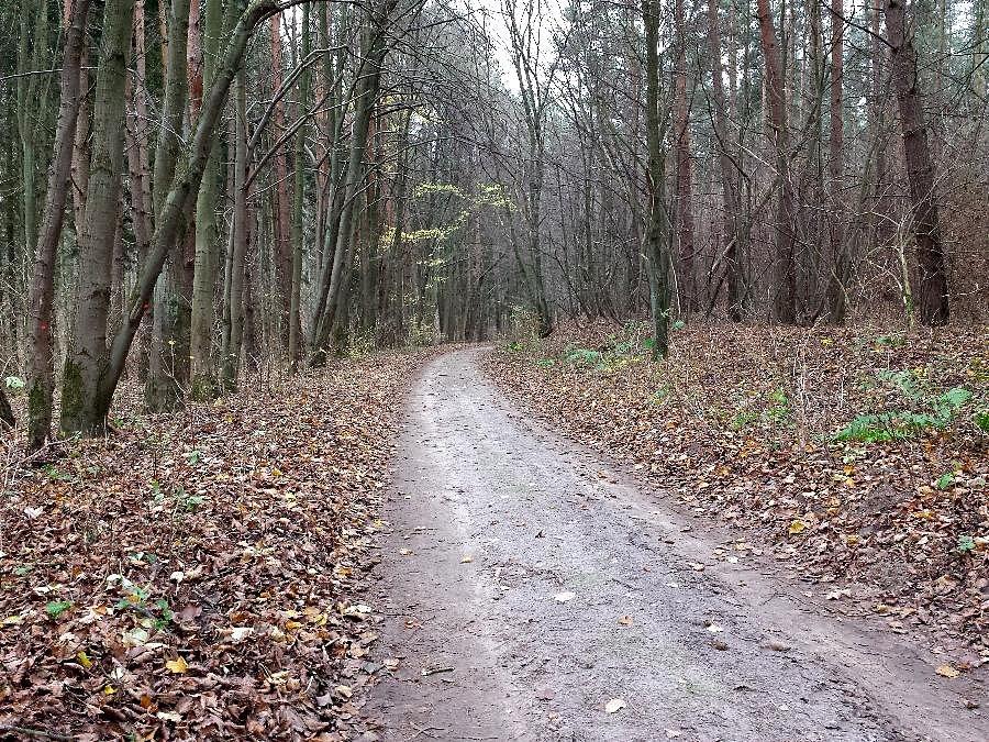 Podańsko - Zabród