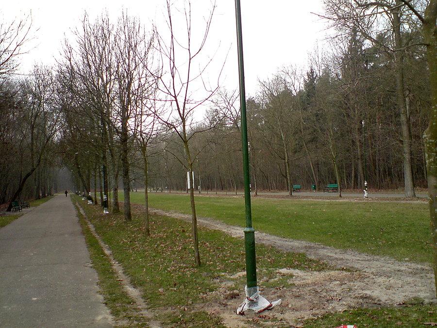Łódź Park na Zdrowiu