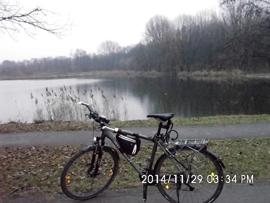 Staw Hutnik w Parku Śląskim