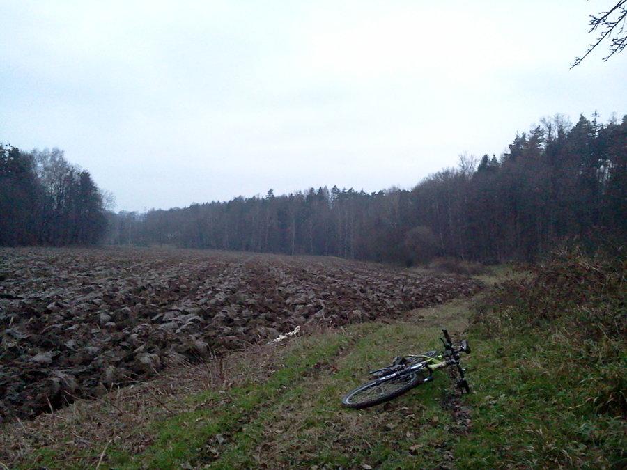 Gdzieś między polami i lasami