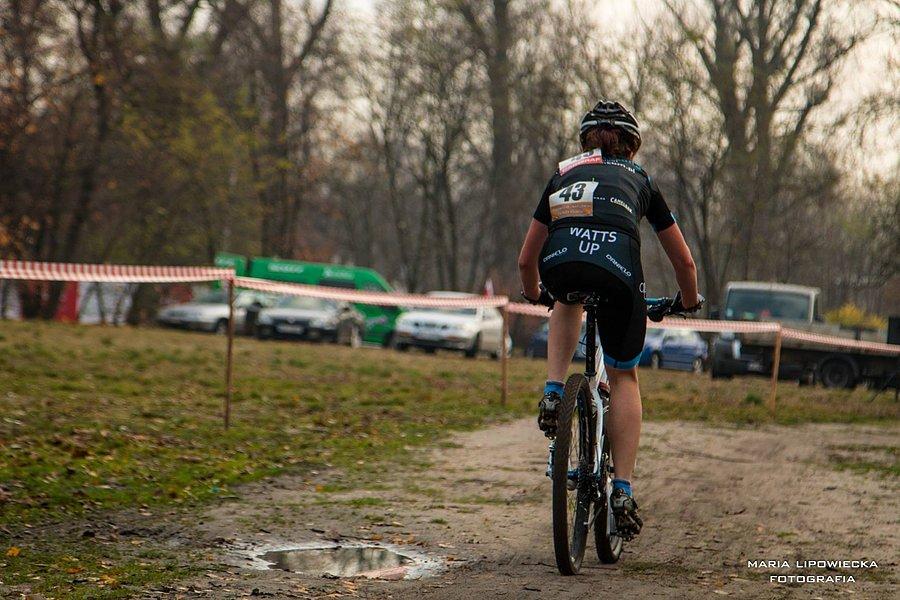 CX Forty Bema