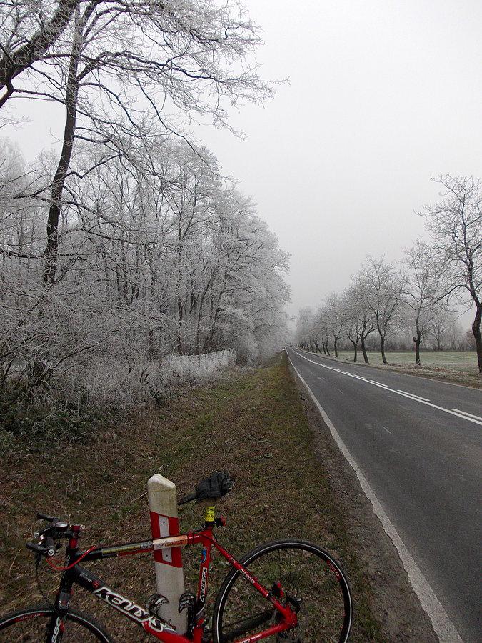 Asfalcik jeszcze czarny