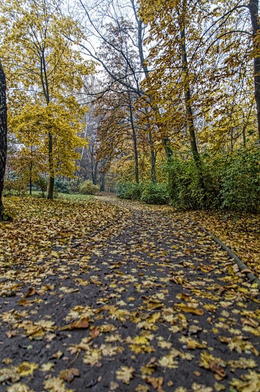 Liście opadają