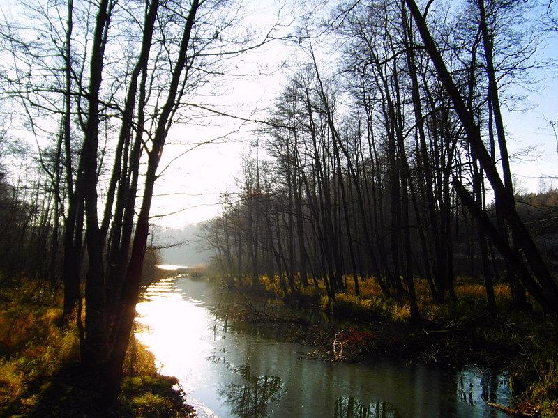 Jezioro Zduńskie