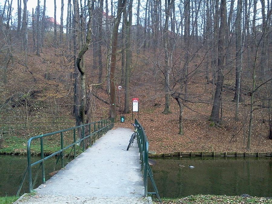 Lasek Miejski