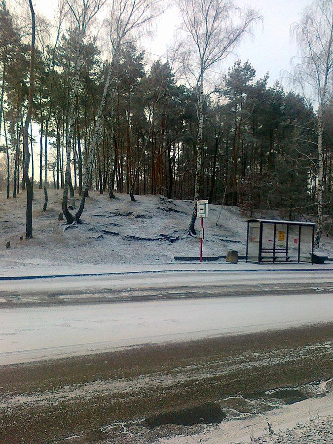 Śnieg w Izabelinie