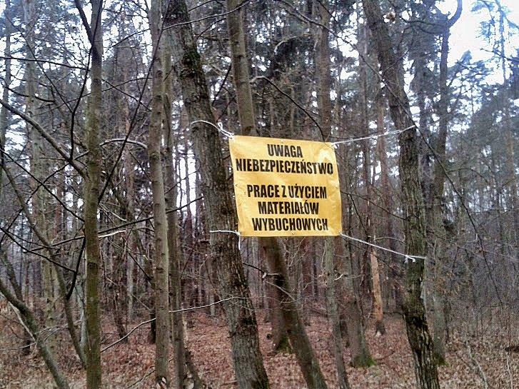 Saperzy w Lesie Młochowskim