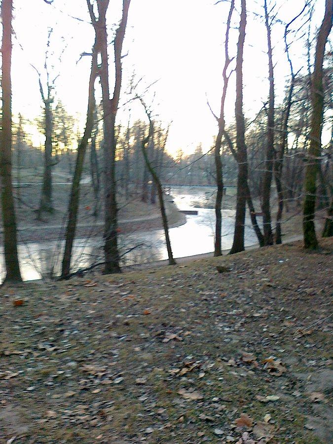 Zamarznięta fosa