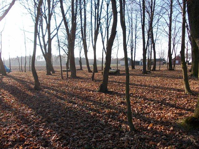 Stary cmentarz ewangelicki w Borkowiźnie