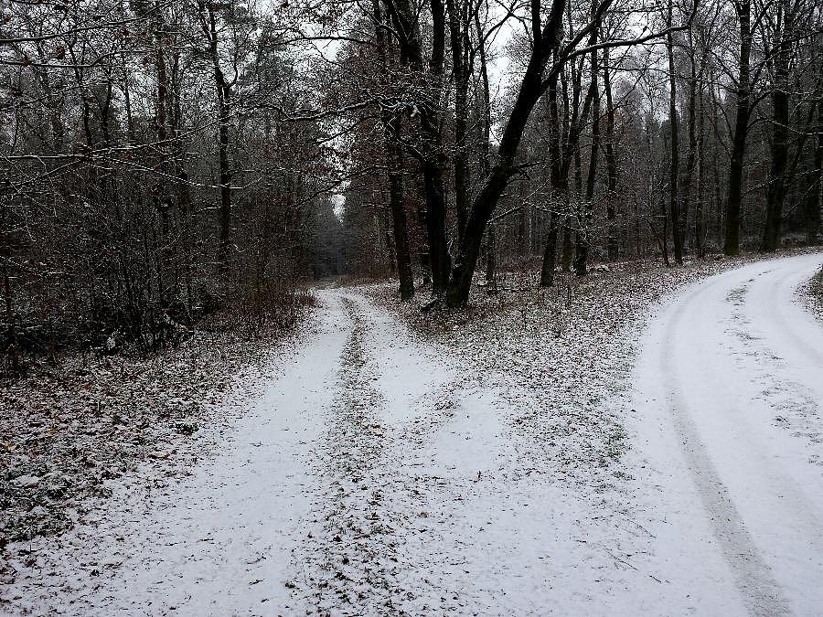 Pierwszy śnieg w okolicy Poczernina