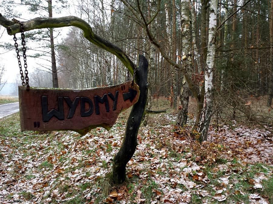 Wydmy - Łęsko