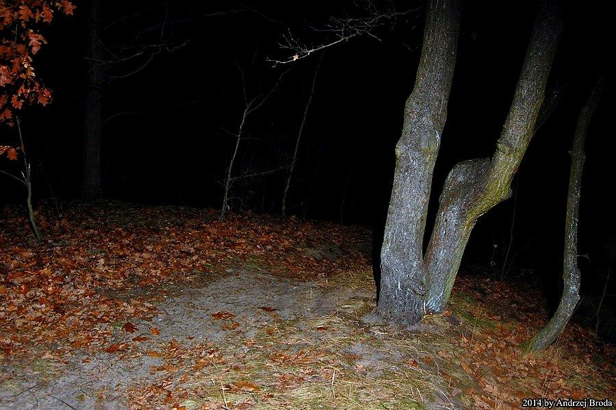 Tak wygląda bielański nocą :D