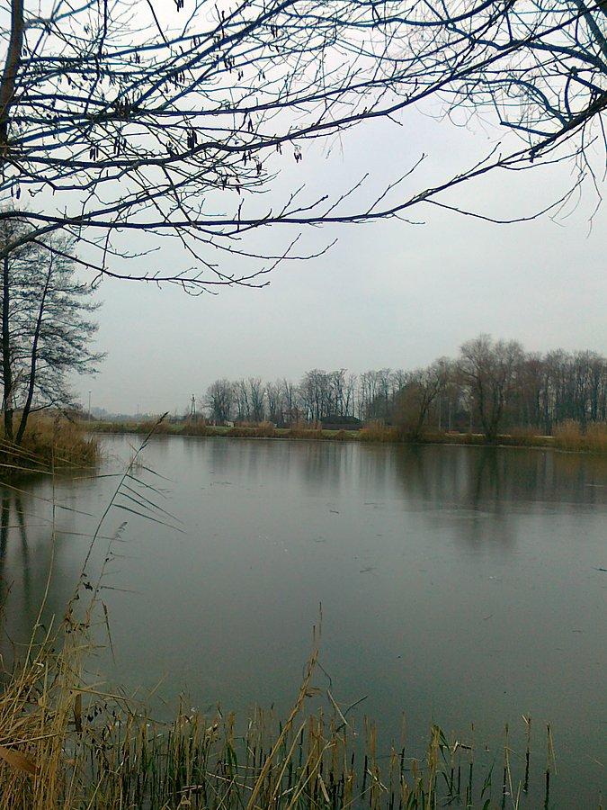 Zamarznięty staw