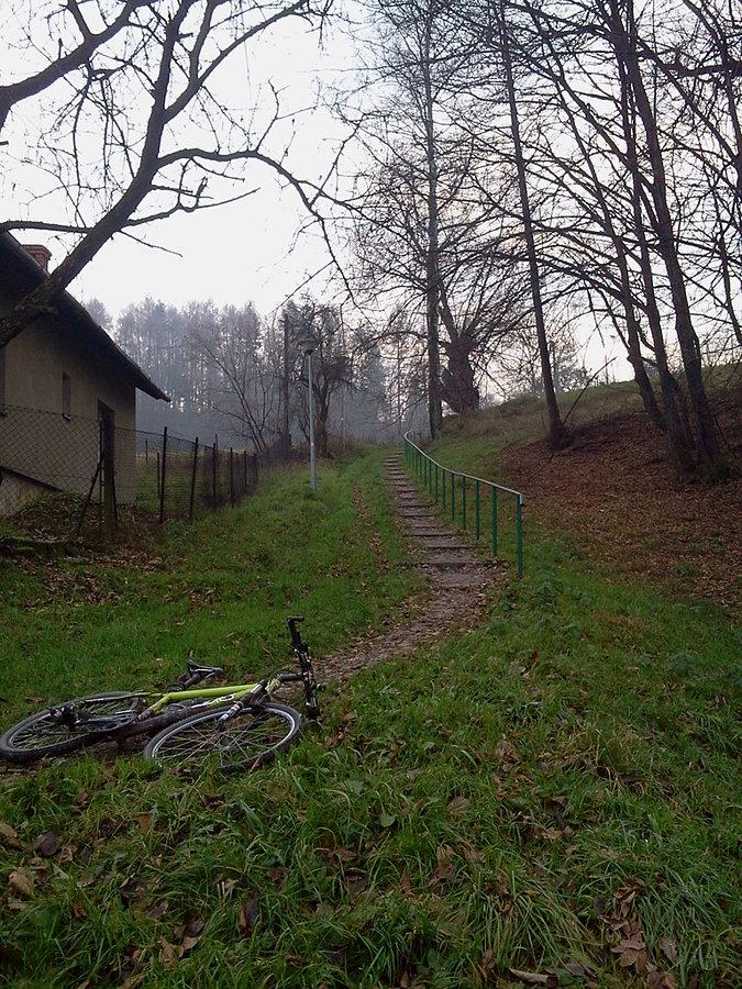 Boguszowice