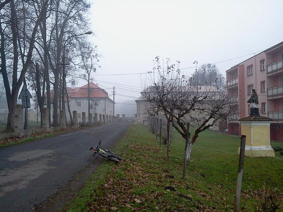 Ropice