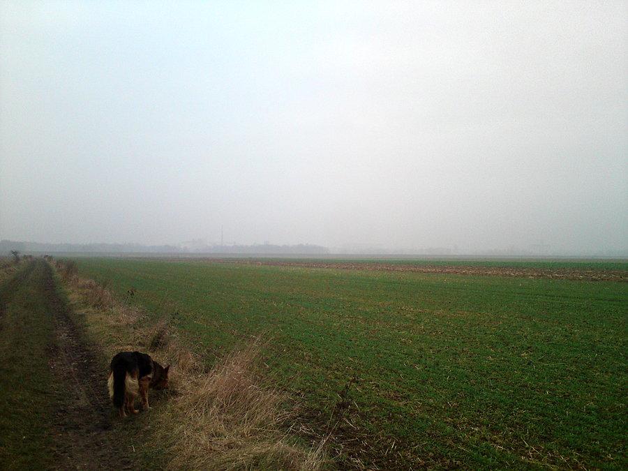 Zamglony Brzeg