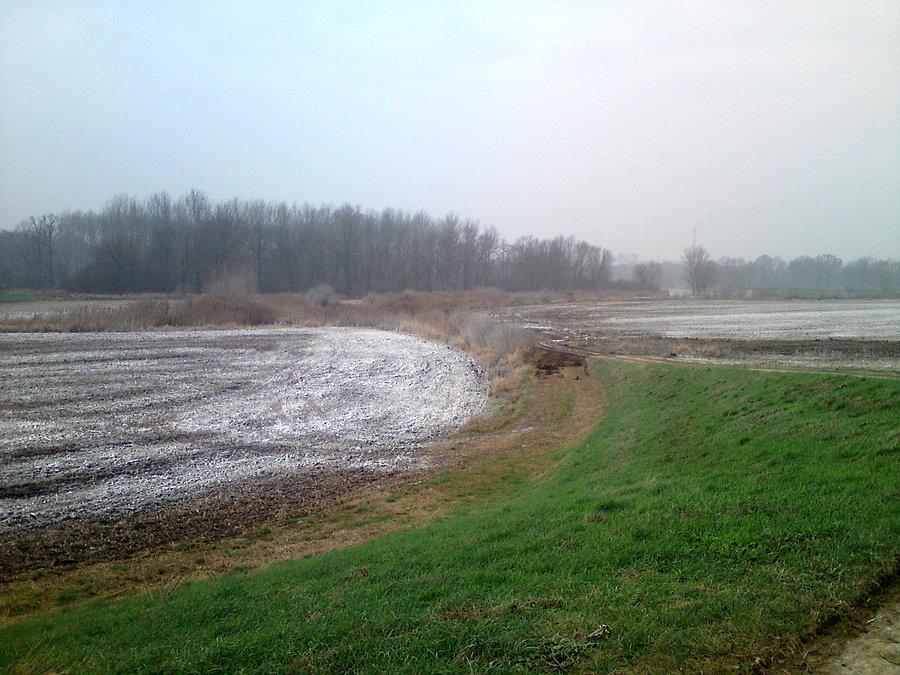Biało na polach