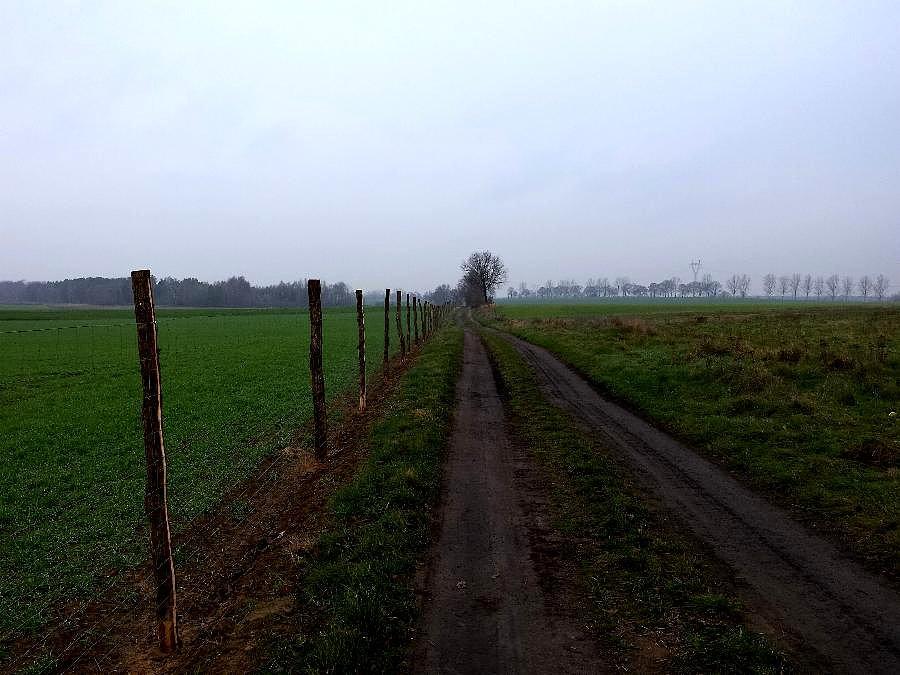 Grzędzice - Smogolice
