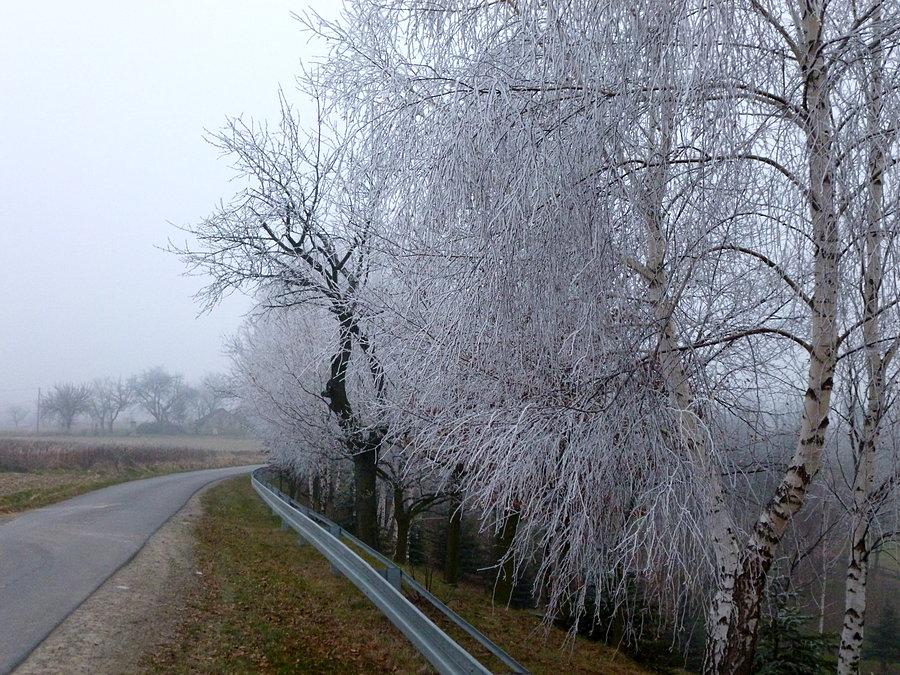 Malownicza droga na Przylasek