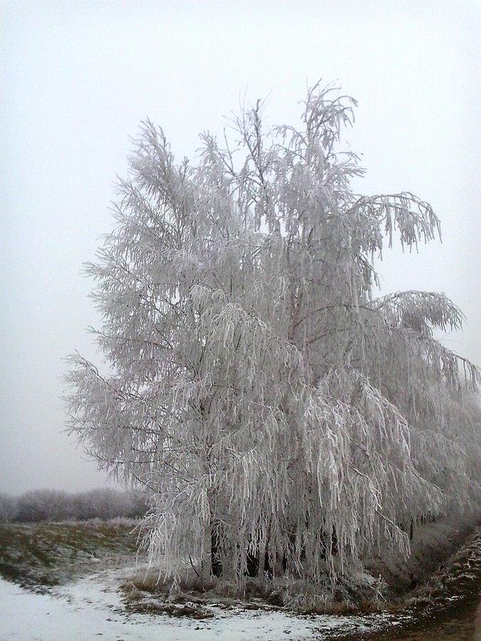 Więcej szadzi