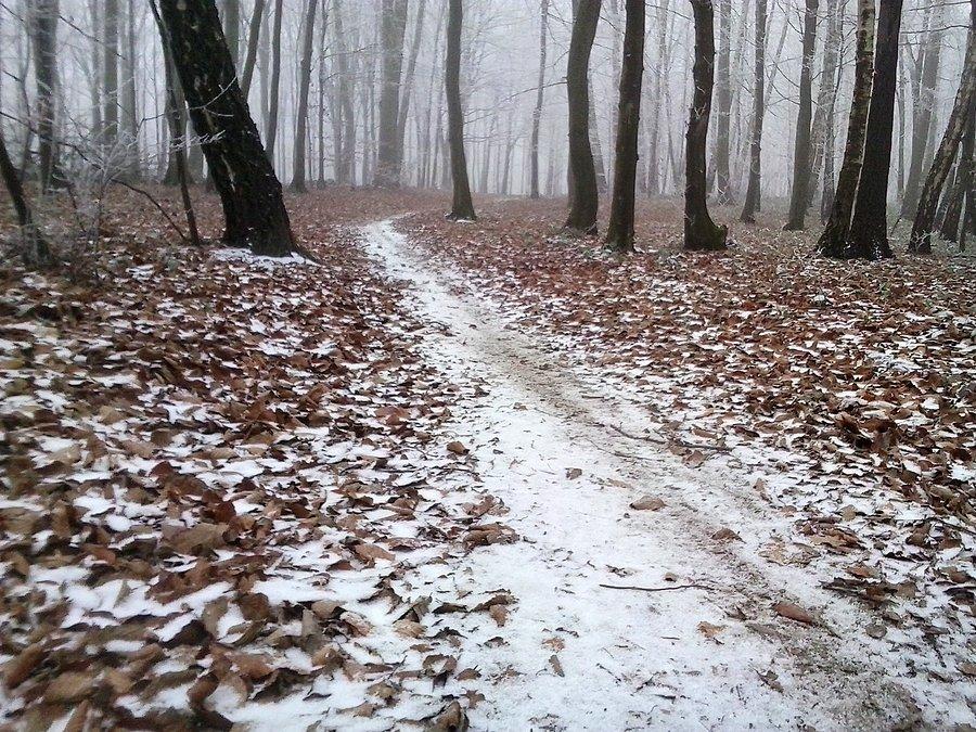 To jeszcze nie śnieg