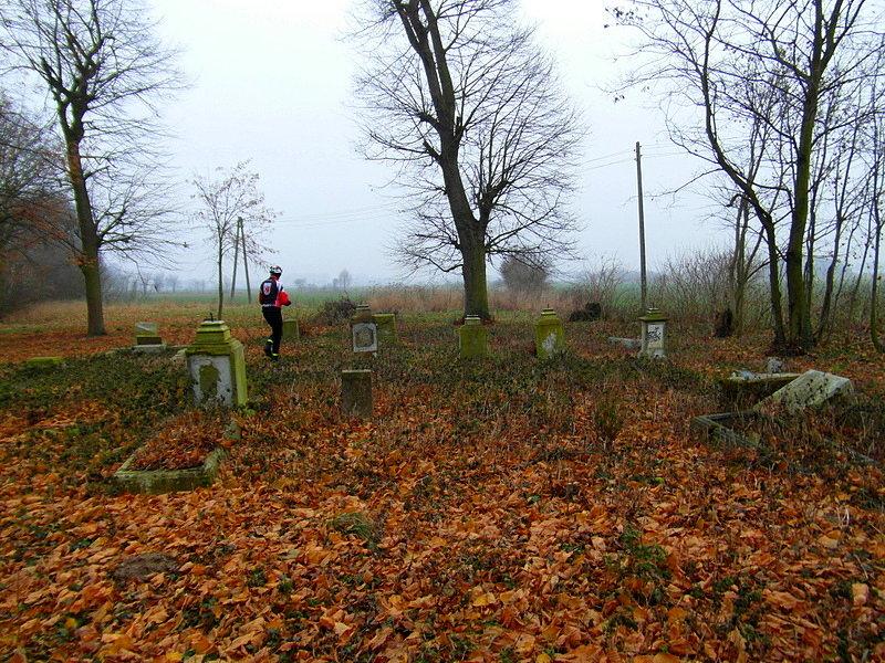 Zwiedzamy cmentarz mennonicki w Mirowie