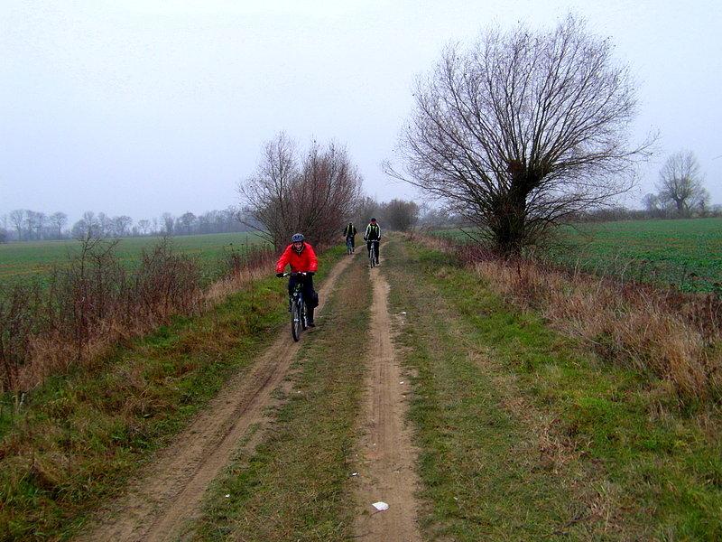 Kierunek Tuja