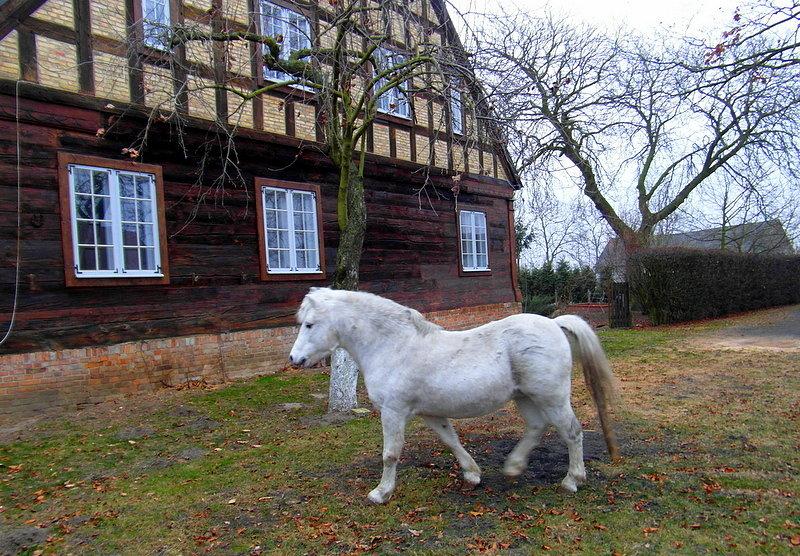 Żuławskie krajobrazy