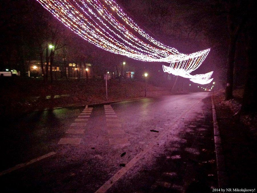 Agrykola. Wieszali lampki!