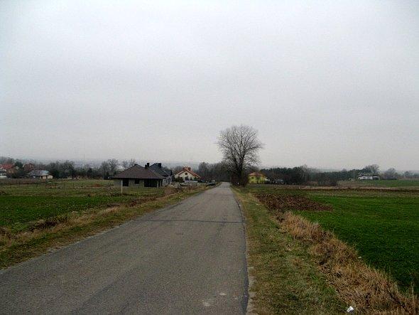 Droga z Prawiednik na Polanówkę