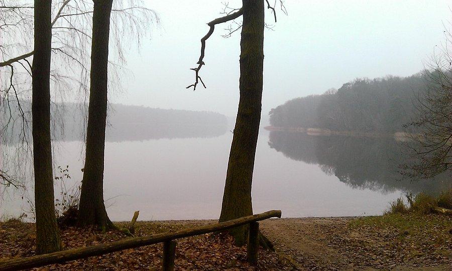 Nad jeziorem Góreckim