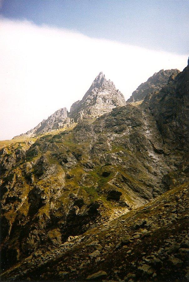 Żabi Mnich