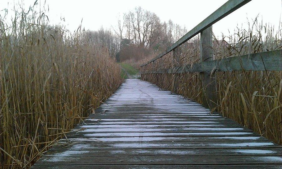 Kładka w Rosnówku