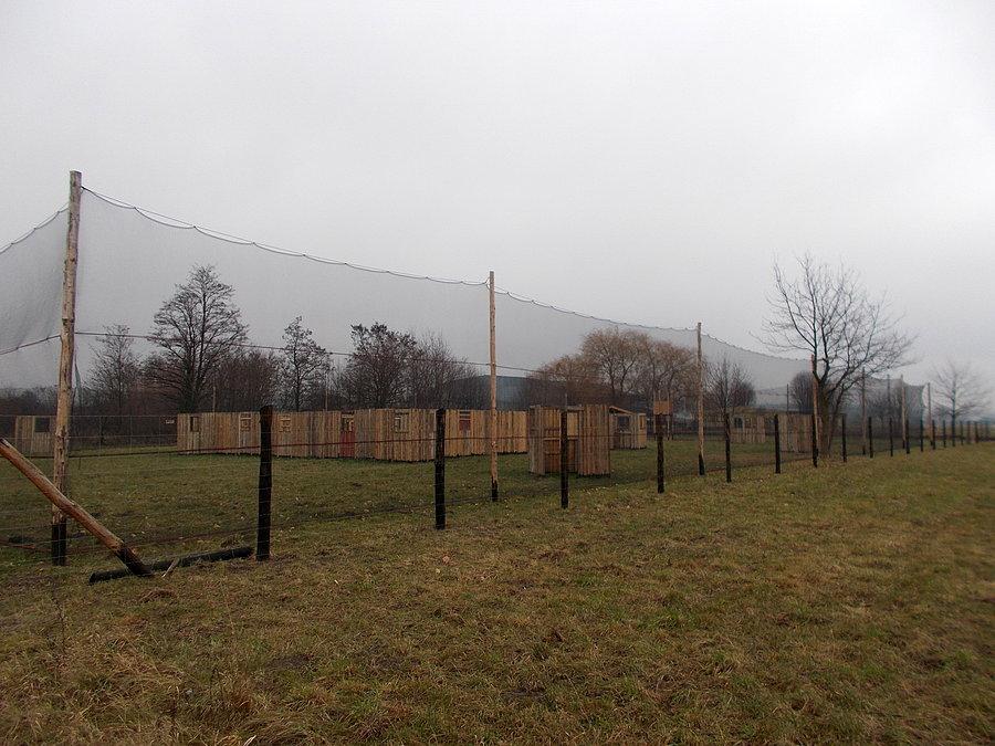 Pole do Paintballa na Lotniczej