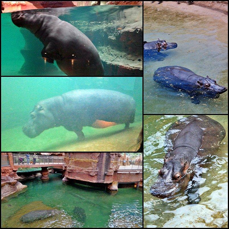 Afrykanarium. POLECAM!!!!