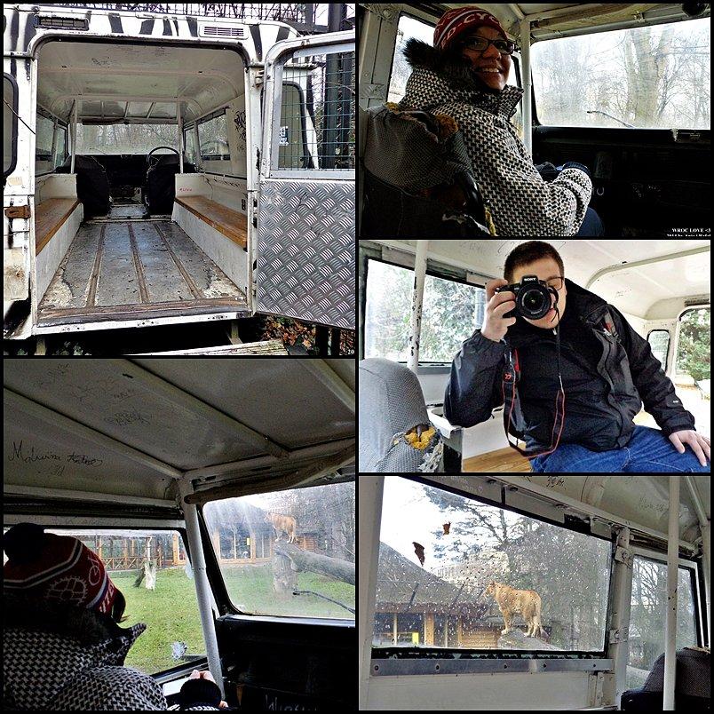 Wrocławskie ZOO. Można poczuć się jak na safari:D