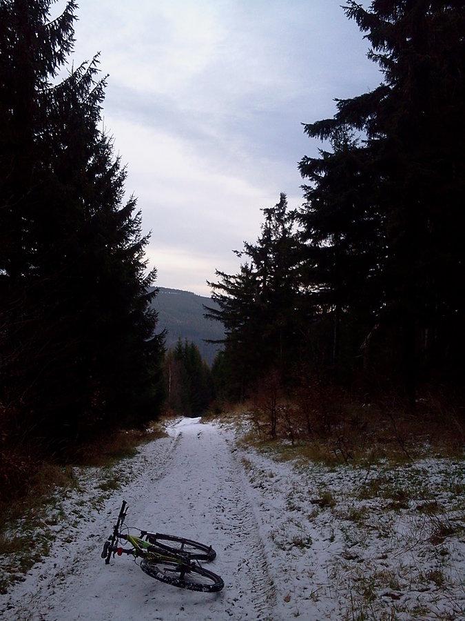 Zjazd leśnymi ścieżkami